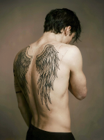 adyn back